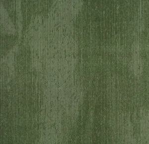 s202001 Latitude juniper